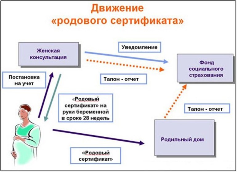 Варианты оформления и особенности документа